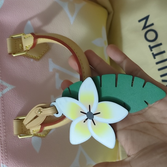 speedy 25 BA pool rose - Picture 2 of 10